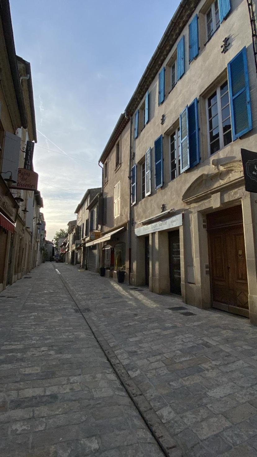 Loft Spacieux Au Coeur Des Remparts D'Aigues-Mortes Dış mekan fotoğraf